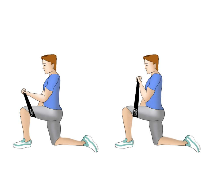 حرکت جلو بازو Bicep Curls آنیتاپ anitop