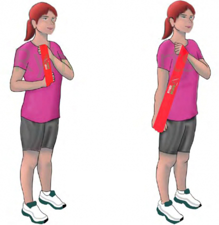 حرکت پشت بازو -Tricep Extensions