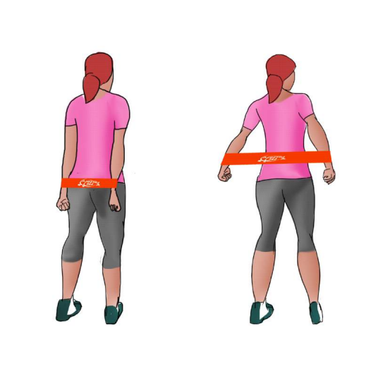 کشش دست از عقب Rear Arm Extensions آنیتاپ anitop