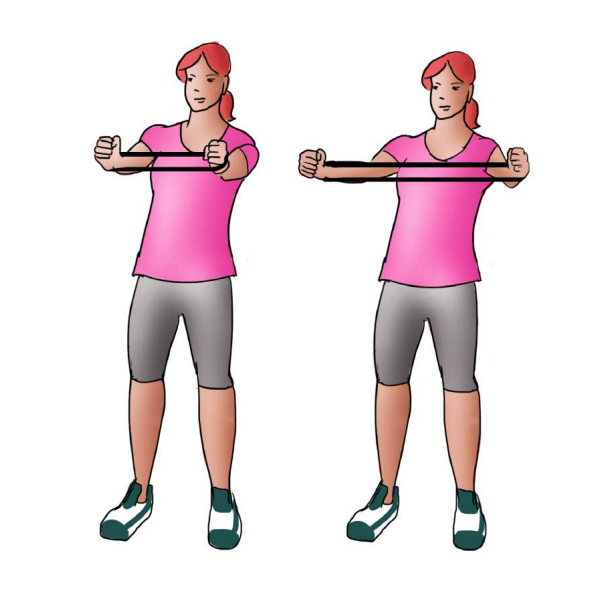 کشش دست به صورت افقی Horizontal Arm Extensions آنیتاپ anitop
