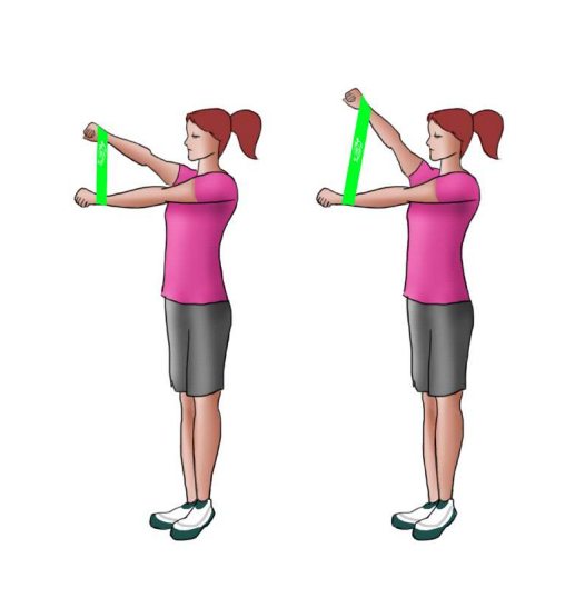 کشش دست به صورت قائم Vertical Arm Extensions آنیتاپ Anitop